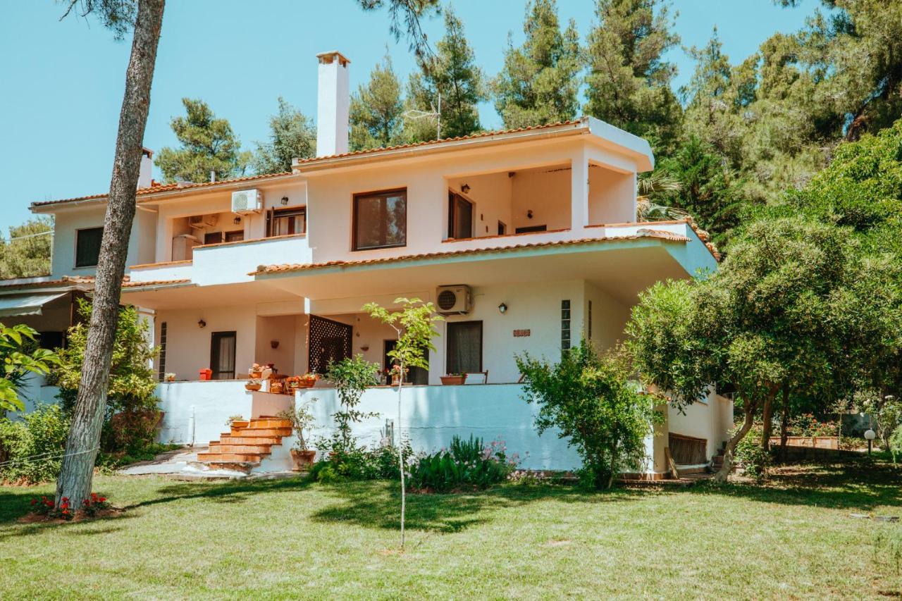 Forest House Near The Sea Παραλία Σάνη Εξωτερικό φωτογραφία