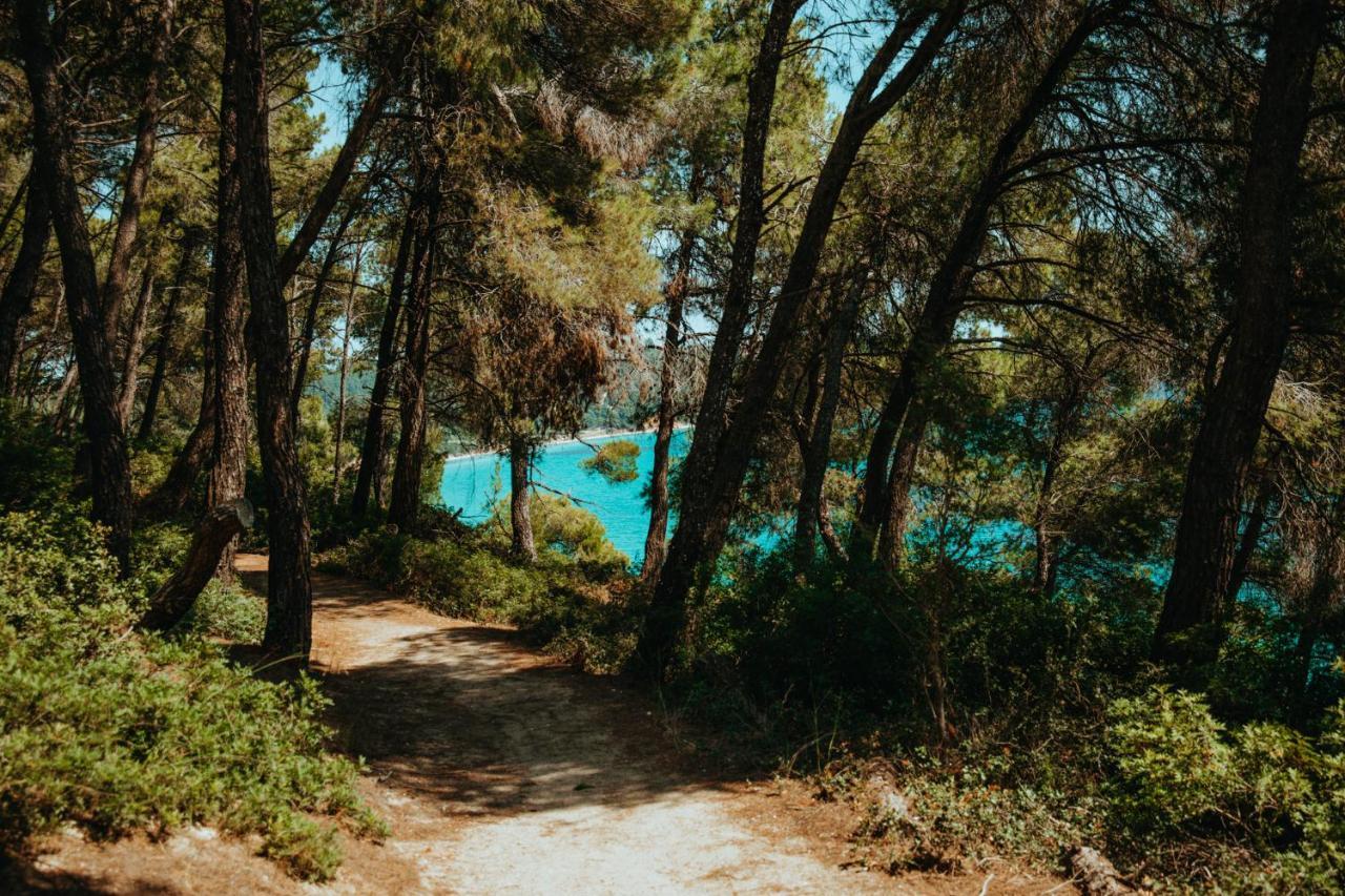 Forest House Near The Sea Παραλία Σάνη Εξωτερικό φωτογραφία