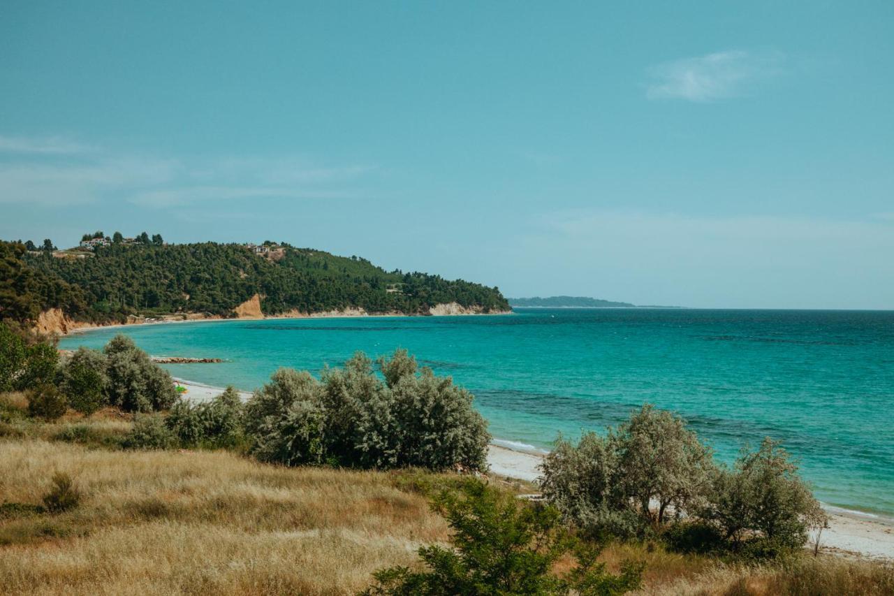 Forest House Near The Sea Παραλία Σάνη Εξωτερικό φωτογραφία