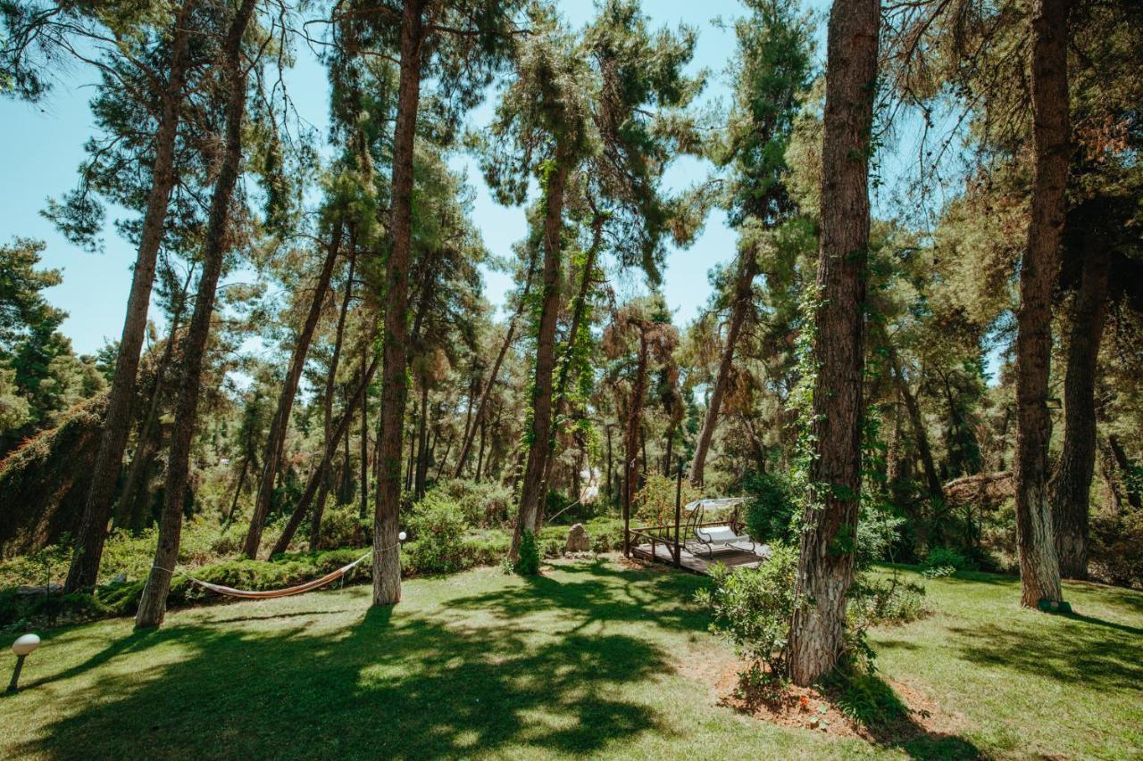 Forest House Near The Sea Παραλία Σάνη Εξωτερικό φωτογραφία